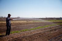 AmericanMeat_FarmerWatering_montana_low-res_3.jpg